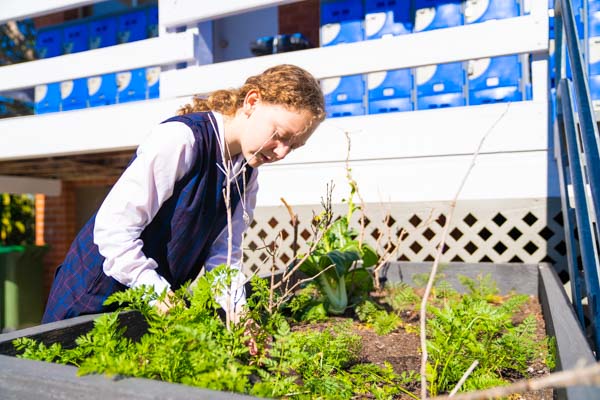 Our Lady of Mercy Catholic College Burraneer - About Us - Facilities - Outside Learning Opportunities