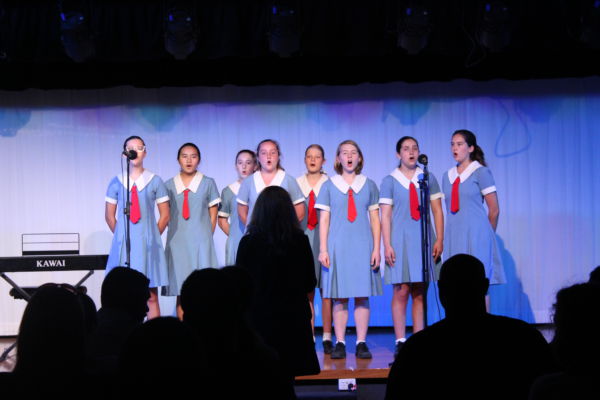 Our Lady of Mercy Catholic College Burraneer - Performance